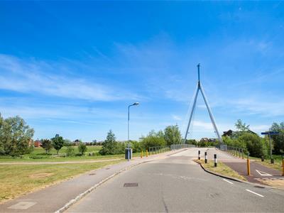 Picture 21
